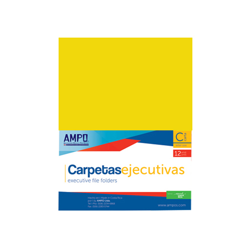 CARPETAS EJECUTIVAS AMARILLO 12 UNIDADES